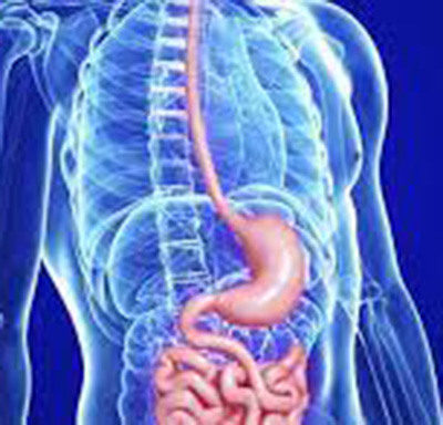 Preparo Colonoscopia