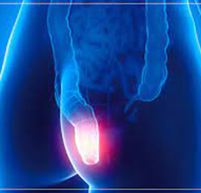 Preparo Mamometria Anorretal